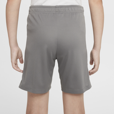 Šortky Nike Dri-FIT Atlético Madrid Strike Knit Shorts Šedá | FN9949-029, 2