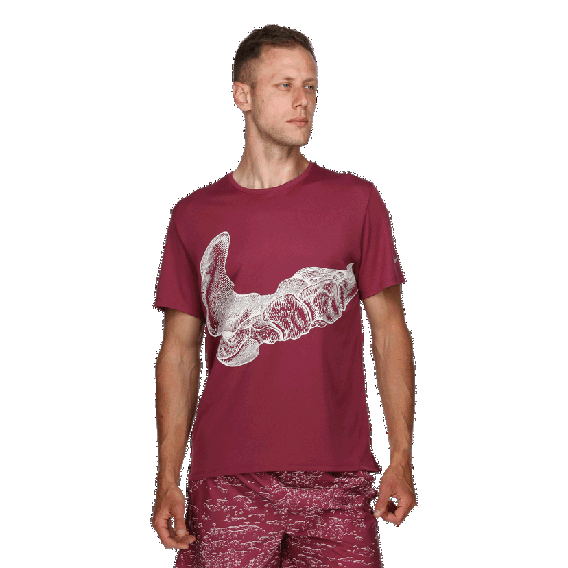 Tričko Nike Dri-FIT UV Run Division Miler T-Shirt Vínová | DV9263-653