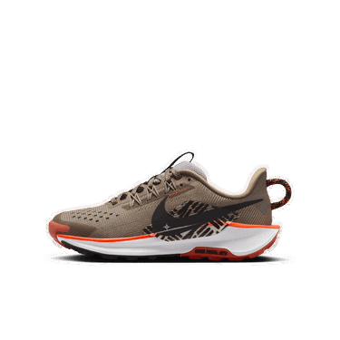 Tenisky a topánky Nike Pegasus Trail 5 Hnedá | FV5638-200, 0