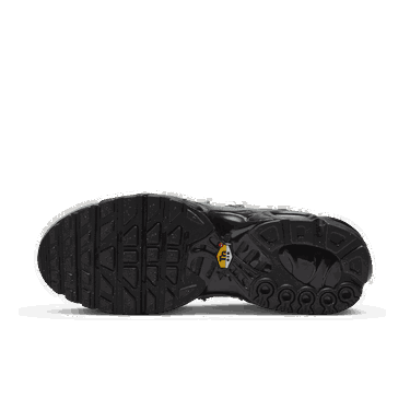 Tenisky a topánky Nike Air Max Plus Šedá | FD0670-002, 1