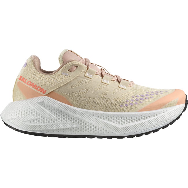 Tenisky a topánky Salomon Aero Glide 3 Gravel Béžová | L47812500, 0