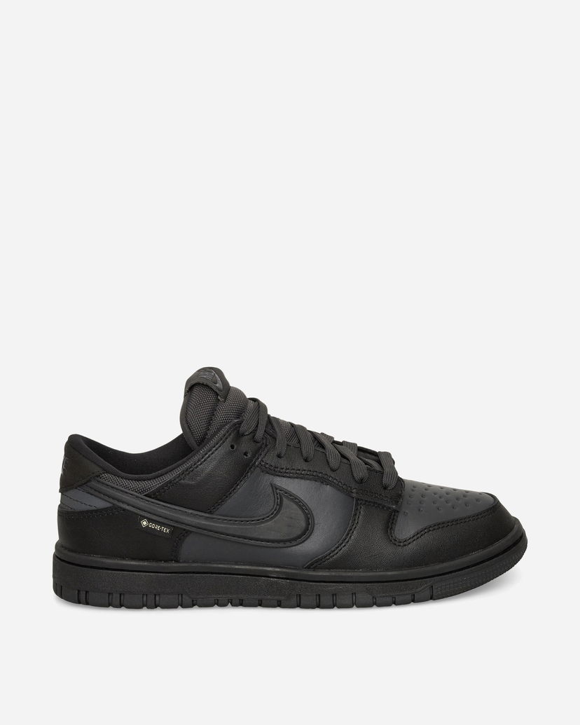 Tenisky a topánky Nike Dunk Low GORE-TEX Čierna | HQ2053-001