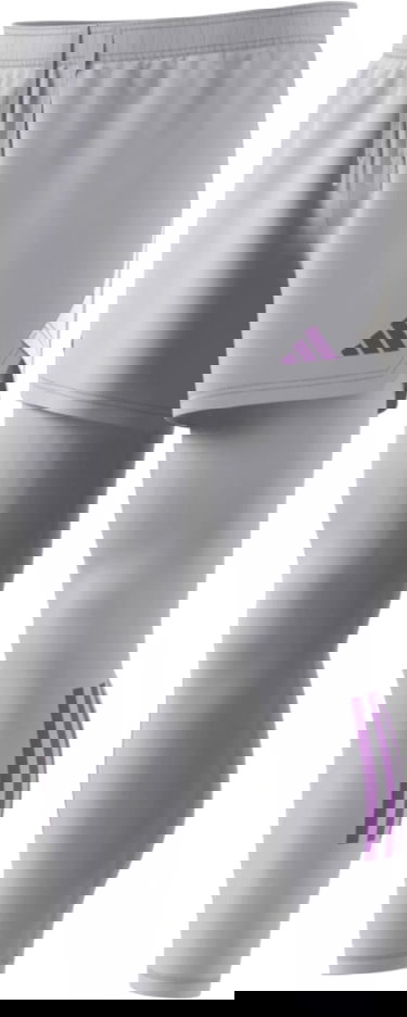 Legíny adidas Originals Tiro 23 Pro Goalie Leggings Šedá | hl0018, 0