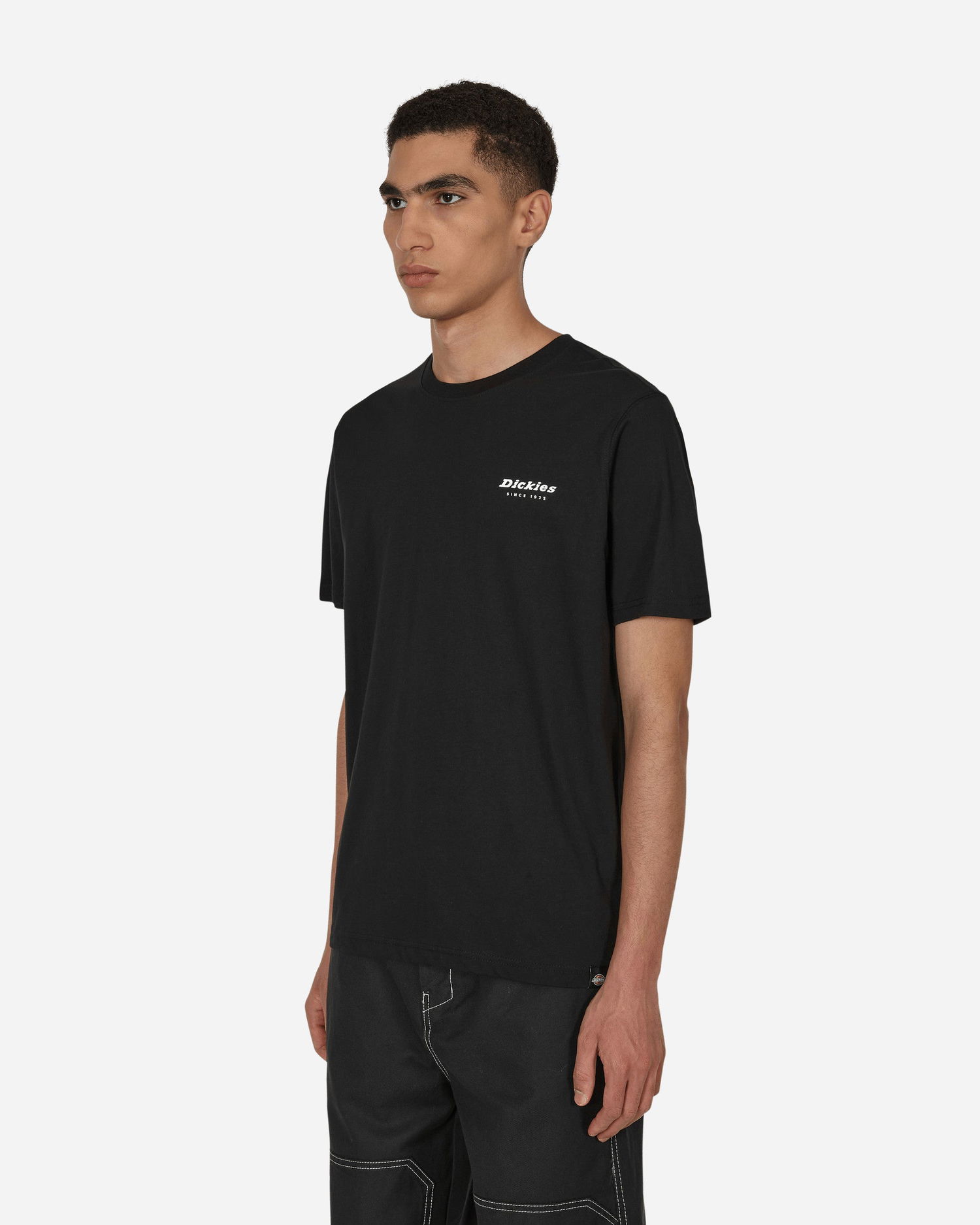 Tričko Dickies Camden Box T-Shirt Čierna | DK0A4Y1H BLK1, 1