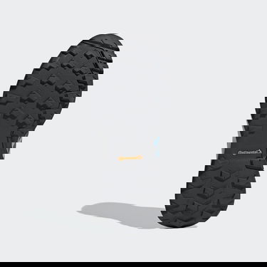 Tenisky a topánky adidas Performance Terrex Skyhiker Gore-Tex Modrá | GZ3042, 2