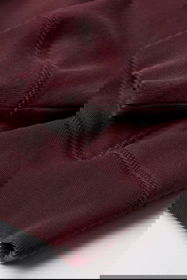 Mikina By Parra Crow logo hooded sweatshirt Vínová | 54326, 4