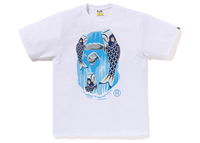 Koinobori Waterfall Ape Head Tee