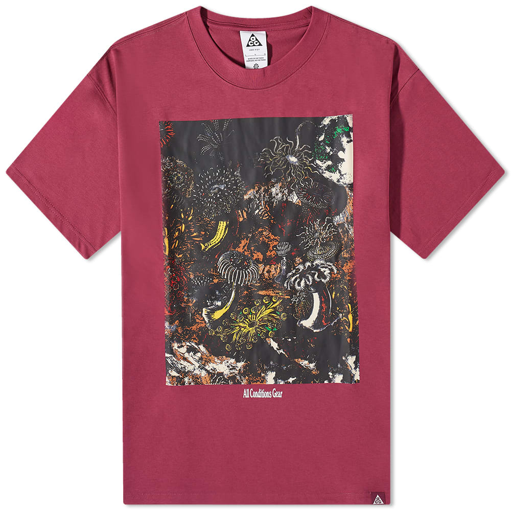 Tričko Nike ACG Tidal Pool Tee Vínová | DX9448-653, 0
