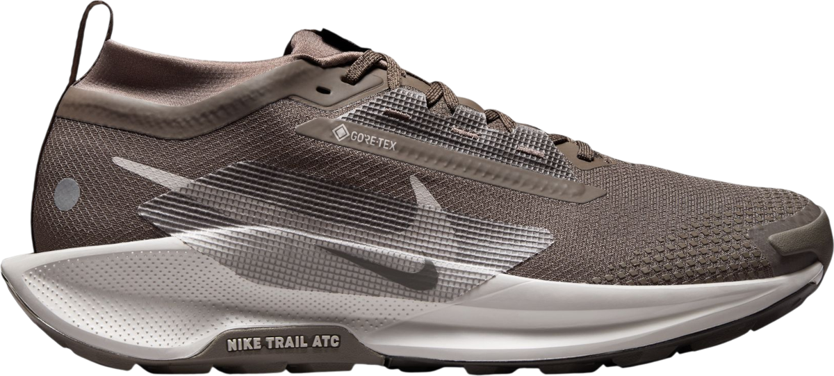 Tenisky a topánky Nike Pegasus Trail 5 GORE-TEX Hnedá | fq0908-012, 0