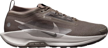 Tenisky a topánky Nike Pegasus Trail 5 GORE-TEX Hnedá | fq0908-012, 0