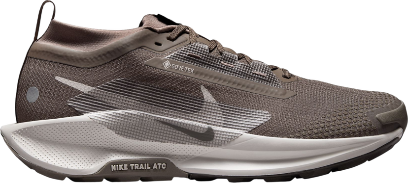Tenisky a topánky Nike Pegasus Trail 5 GORE-TEX Hnedá | fq0908-012