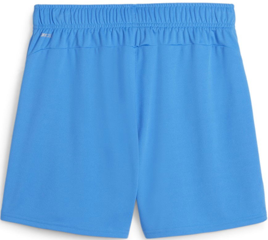 Šortky Puma teamGOAL Handball Shorts Modrá | 706019-02, 1
