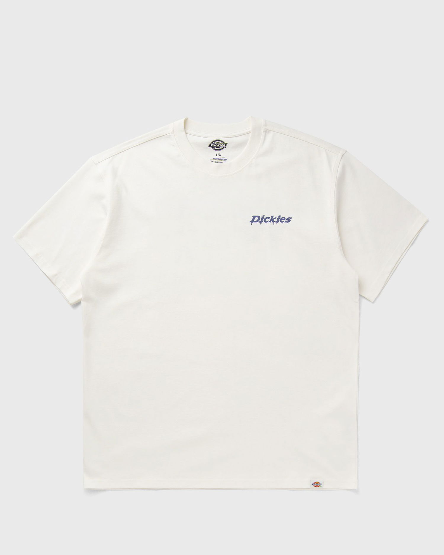 Tričko Dickies Statesville T-Shirt Biela | DK0A87QPC481, 1
