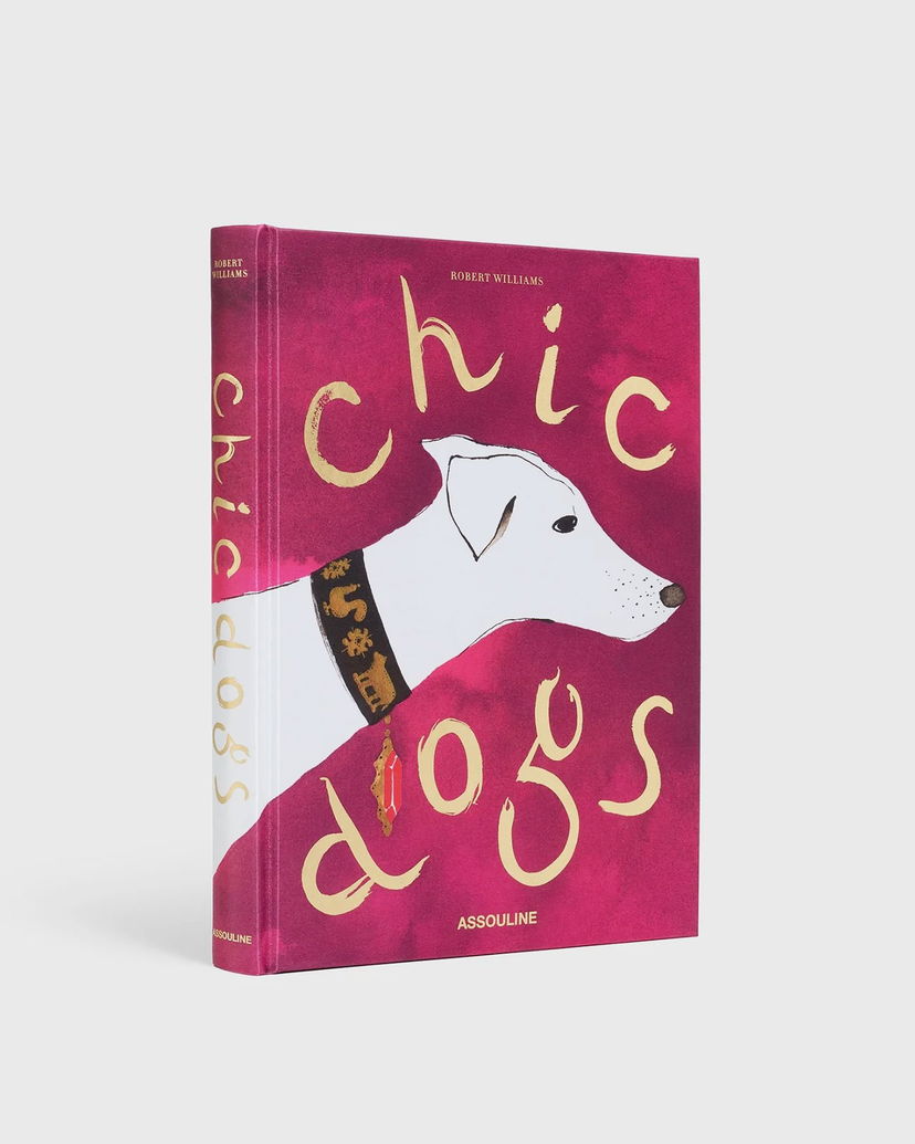 Kniha a časopis ASSOULINE Chic Dogs Book by Robert Williams Ružová | 9781649804419