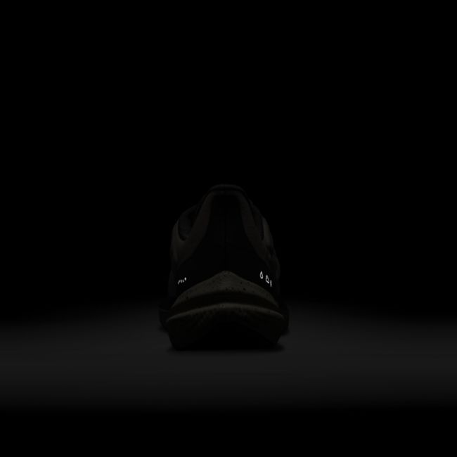 Air Zoom Winflo 9 Shield