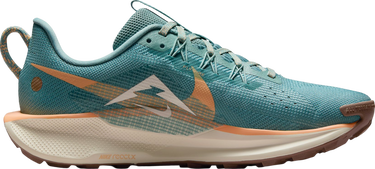 Tenisky a topánky Nike Pegasus Trail 5 Tyrkysová | dv3865-010, 3