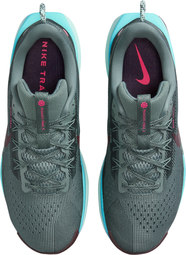 Tenisky a topánky Nike Pegasus Trail 5 Rôznofarebný | dv3864-302, 2