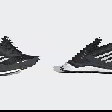 Tenisky a topánky adidas Performance Terrex Agravic Flow Čierna | FW5119, 0