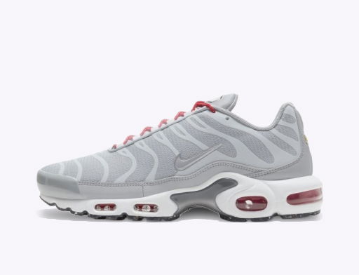 Tenisky a topánky Nike Air Max Plus Šedá | DD7112-001