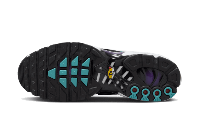 Tenisky a topánky Nike Air Max Plus "Reverse Grape" Fialová | FQ2415-500, 1