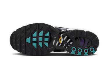 Tenisky a topánky Nike Air Max Plus "Reverse Grape" Fialová | FQ2415-500, 1