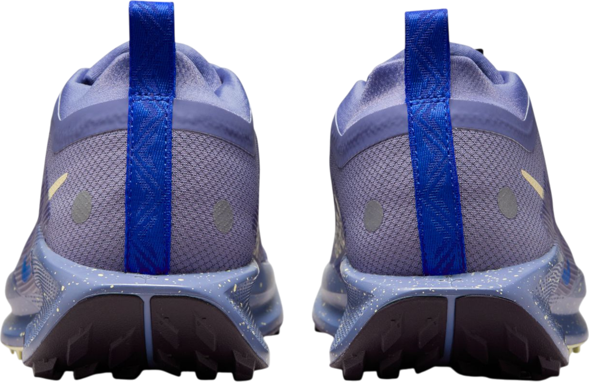 Tenisky a topánky Nike Pegasus Trail 5 GORE-TEX Fialová | fq0912-402, 1