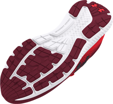 Tenisky a topánky Under Armour UA Charged Rogue 4 Červená | 3026998-600, 2