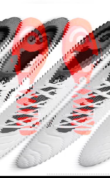 Tenisky a topánky Nike LEGEND 10 ELITE SG-PRO AC Biela | dv4329-100, 4