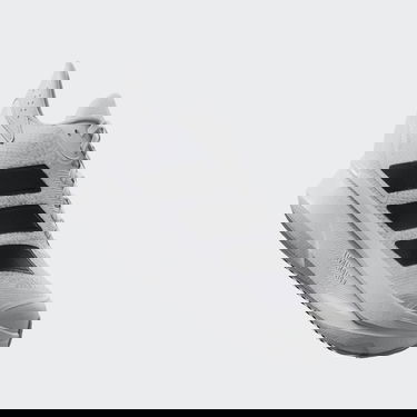 Tenisky a topánky adidas Performance Duramo SL 2 Biela | IH8223, 2