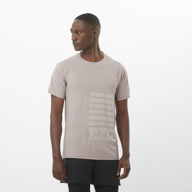 Tričko Salomon Aero Graphic T-Shirt Šedá | LC2694500, 0