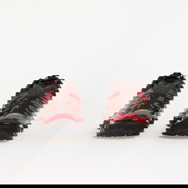 Tenisky a topánky Salomon XT-6 Skyline Hnedá | L47876800, 4
