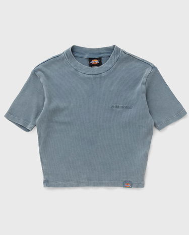 Crop Top Dickies Dickies Plentywood Short Sleeve T-Shirt XS Modrá | DK0A866FG701, 0