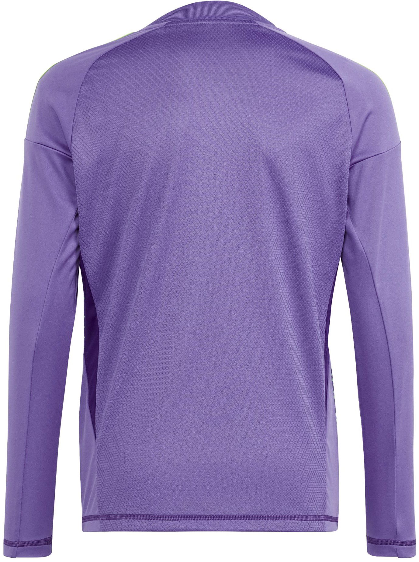 Dres adidas Originals adidas T24 C GK JSY LY Fialová | in0430, 1