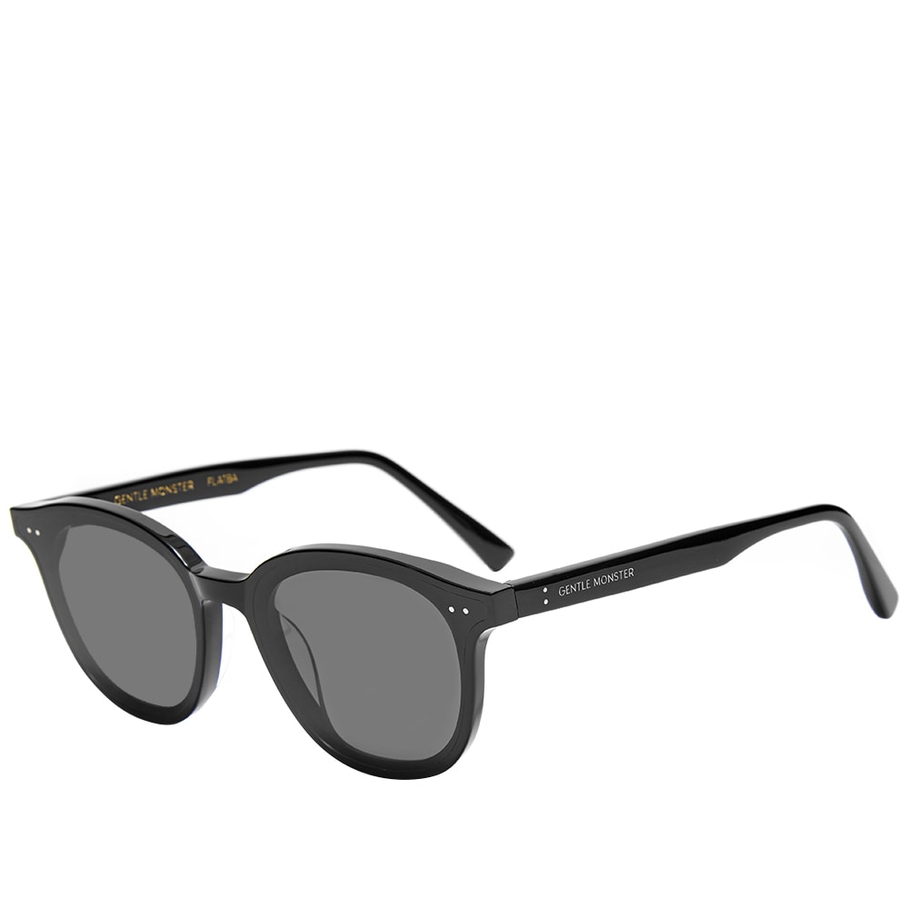 Lang Sunglasses