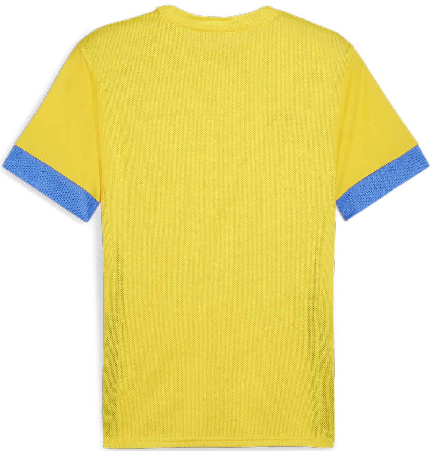Dres Puma teamGOAL Matchday Jersey Žltá | 705747-17, 1