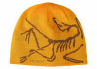Arc'teryx Bird Head Toque