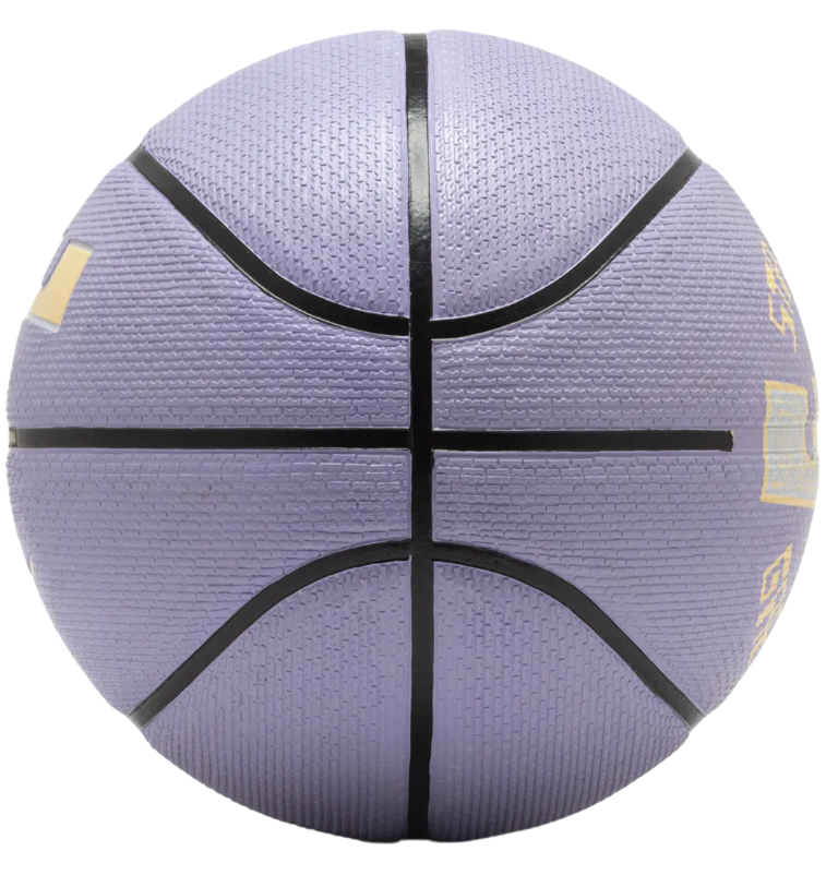Playground 2.0 8P L James Basketball Size 7