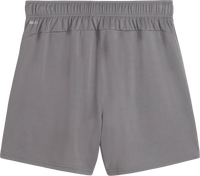 Puma teamGOAL Handball Shorts