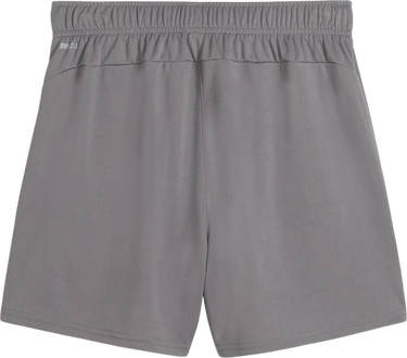 Šortky Puma Puma teamGOAL Handball Shorts Šedá | 706019-13, 0