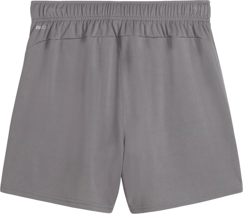 Šortky Puma Puma teamGOAL Handball Shorts Šedá | 706019-13