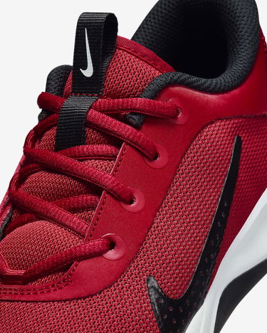 Tenisky a topánky Nike Omni Multi-Court Červená | DM9027-601, 4