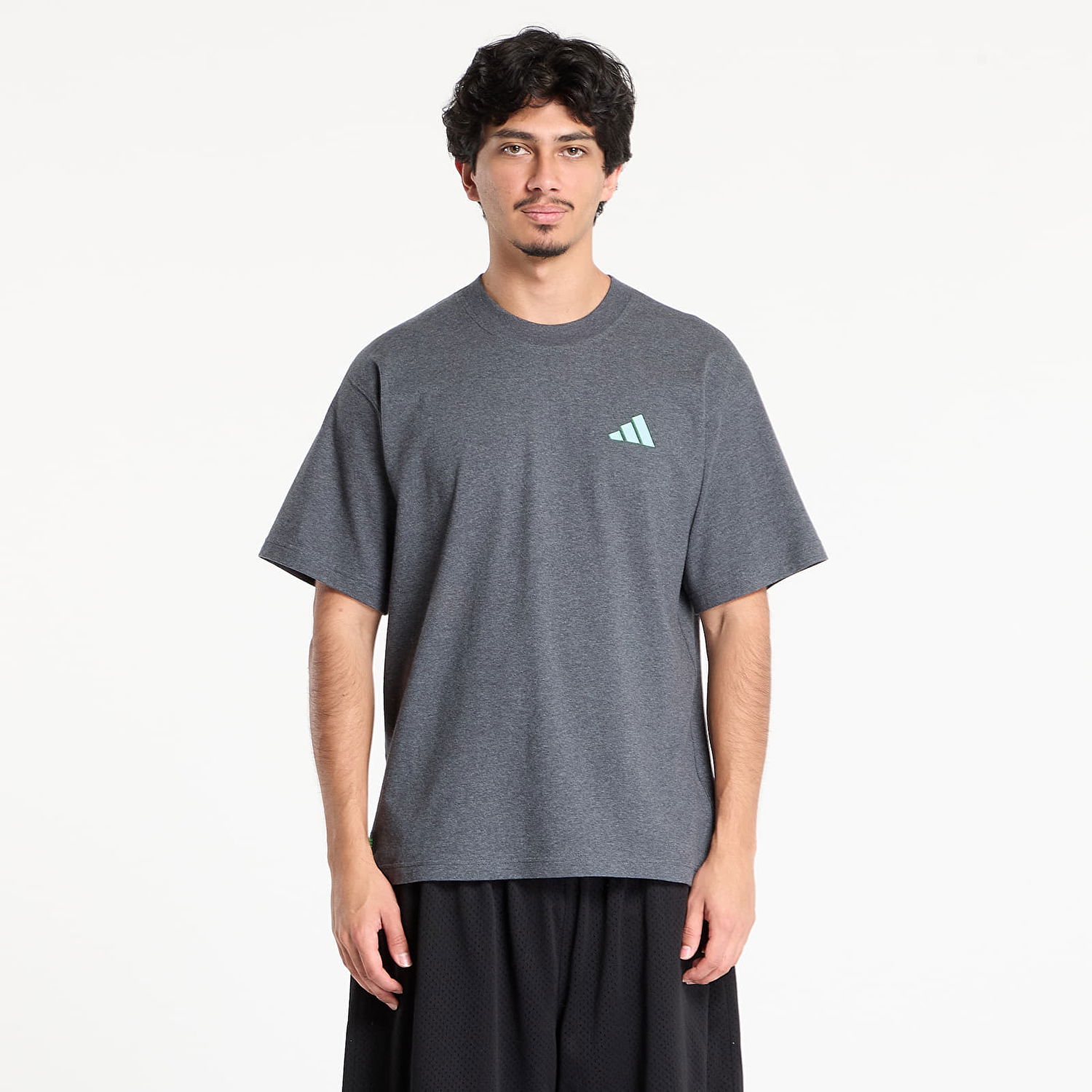 Tričko adidas Performance Mercedes-AMG Petronas Formula One Team Premium Sweat T-Shirt Šedá | JX8775, 0