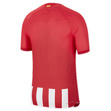 Dres Nike Dri-FIT ADV Atlético Madrid 2023/24, Rôznofarebný | DX2609-613, 1