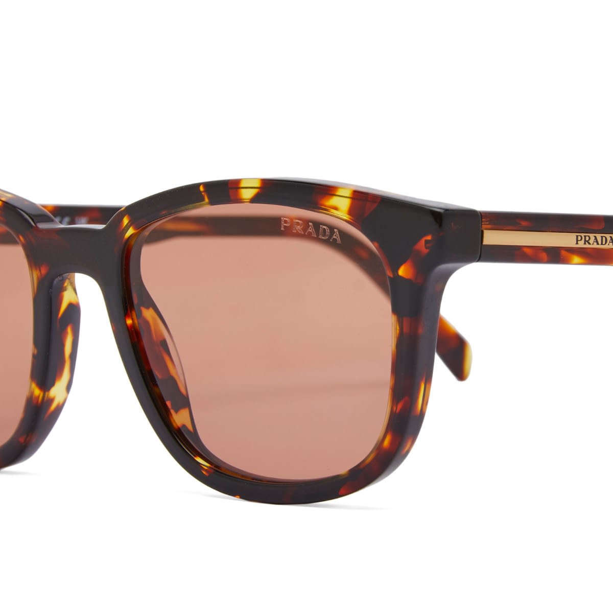 A21S Sunglasses in Tortoise