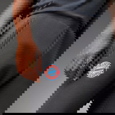 Tepláky adidas Performance FC Bayern Essentials Trefoil Pants Šedá | IL1033, 5