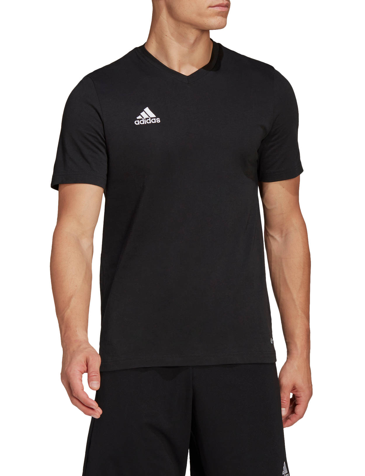 Tričko adidas Originals T-shirt Entrada 22 Čierna | hc0448, 1