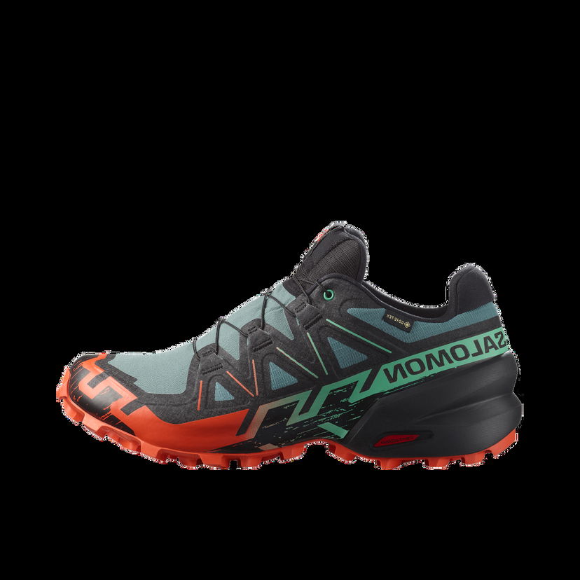 Tenisky a topánky Salomon SPEEDCROSS 6 GTX Tyrkysová | l47701300