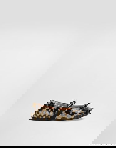 Doplnky Dolce & Gabbana Dolce & Gabbana Printed Shiny Calfskin Ballet Flats Rôznofarebný | D20093AM568HA93M, 0