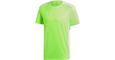 Dres adidas Originals Adidas Entrada 18 Jersey Zelené | ce9758k, 1