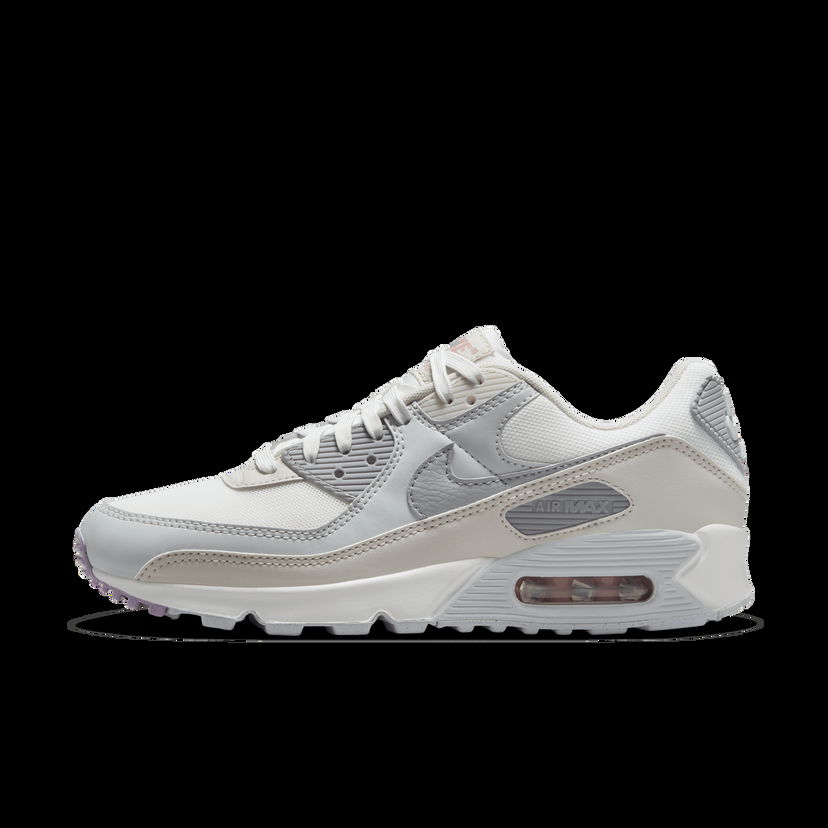 Tenisky a topánky Nike Air Max 90 Šedá | DH8010-107